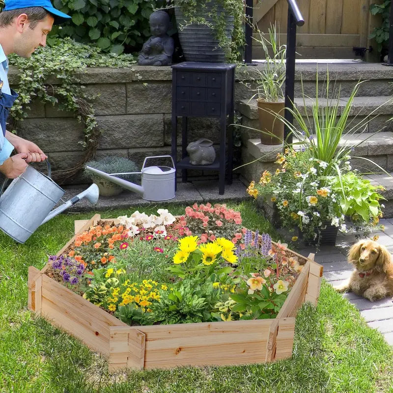 Screwless Raised Garden Bed, Hexagon Planter Box DIY Herb Garden