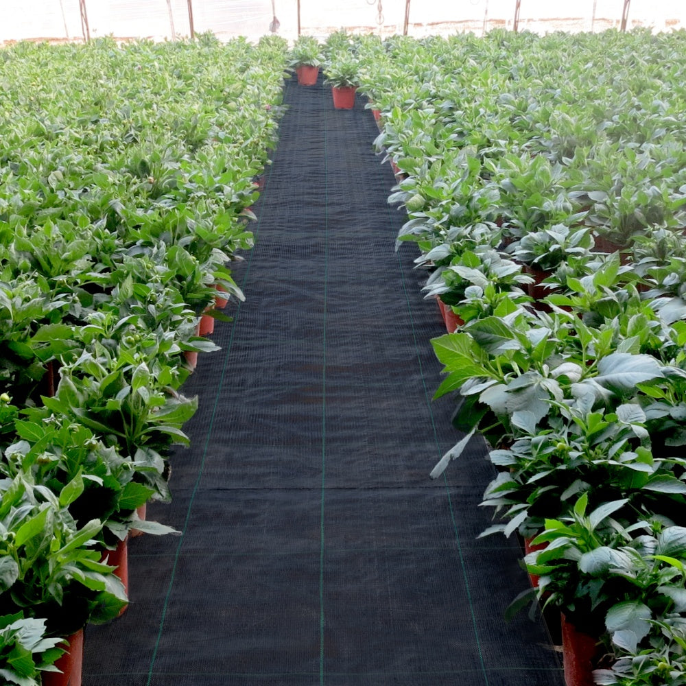VEVOR 6.5FTx300FT Premium Weed Barrier Fabric Heavy Duty 3OZ, Woven Weed Control Fabric, High Permeability Good For Flower Bed, Geotextile Fabric For Underlayment, Polyethylene Ground Cover